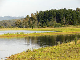 Lago Peñuelas1.jpg