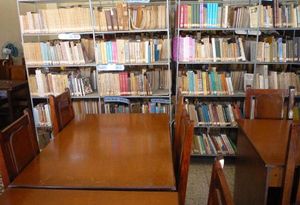 Biblioteca San Luis.jpg