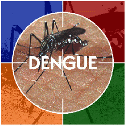 Dengue gd.gif
