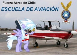 Esc aviacion Chile.JPG