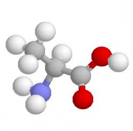 Moléculas orgánicas.jpeg