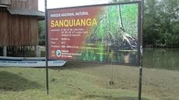 Sanquinbanga.jpg