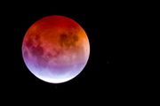 Eclipse-lunar2022.jpg