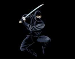 Ninjas-image-01 20copy.jpg