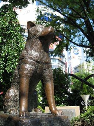 Estatua de Hachiko.jpg