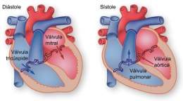 Fig10 heartbeat sp.jpg
